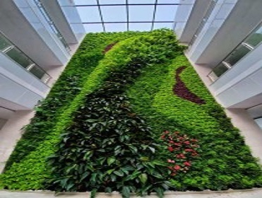 植物墻設計制作